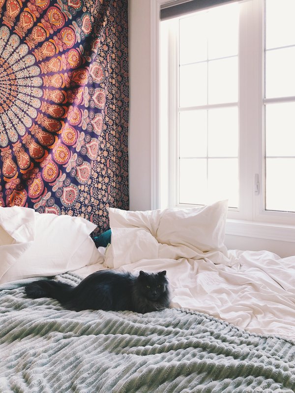 Tapisserie murale : la nouvelle tendance de décoration murale